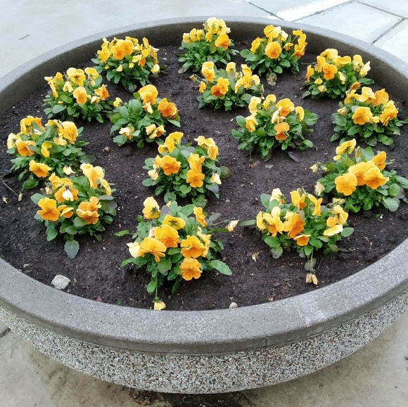 Meet your Posher, Shraddha - Picture 1 of 1